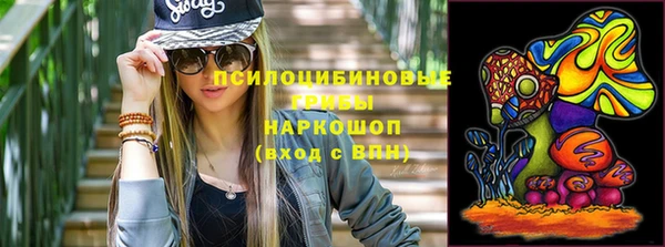 соль ск Бородино